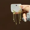 اما الاقراط الفضية فتتألَّف من اقراط محفورة بالاشعة details Picture